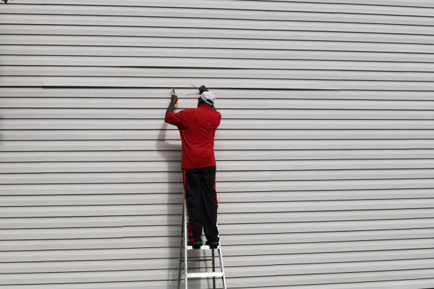 Affordable Siding Repair and Maintenance Services in Stagecoach, NV