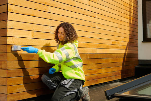 Best Siding Replacement  in Stagecoach, NV